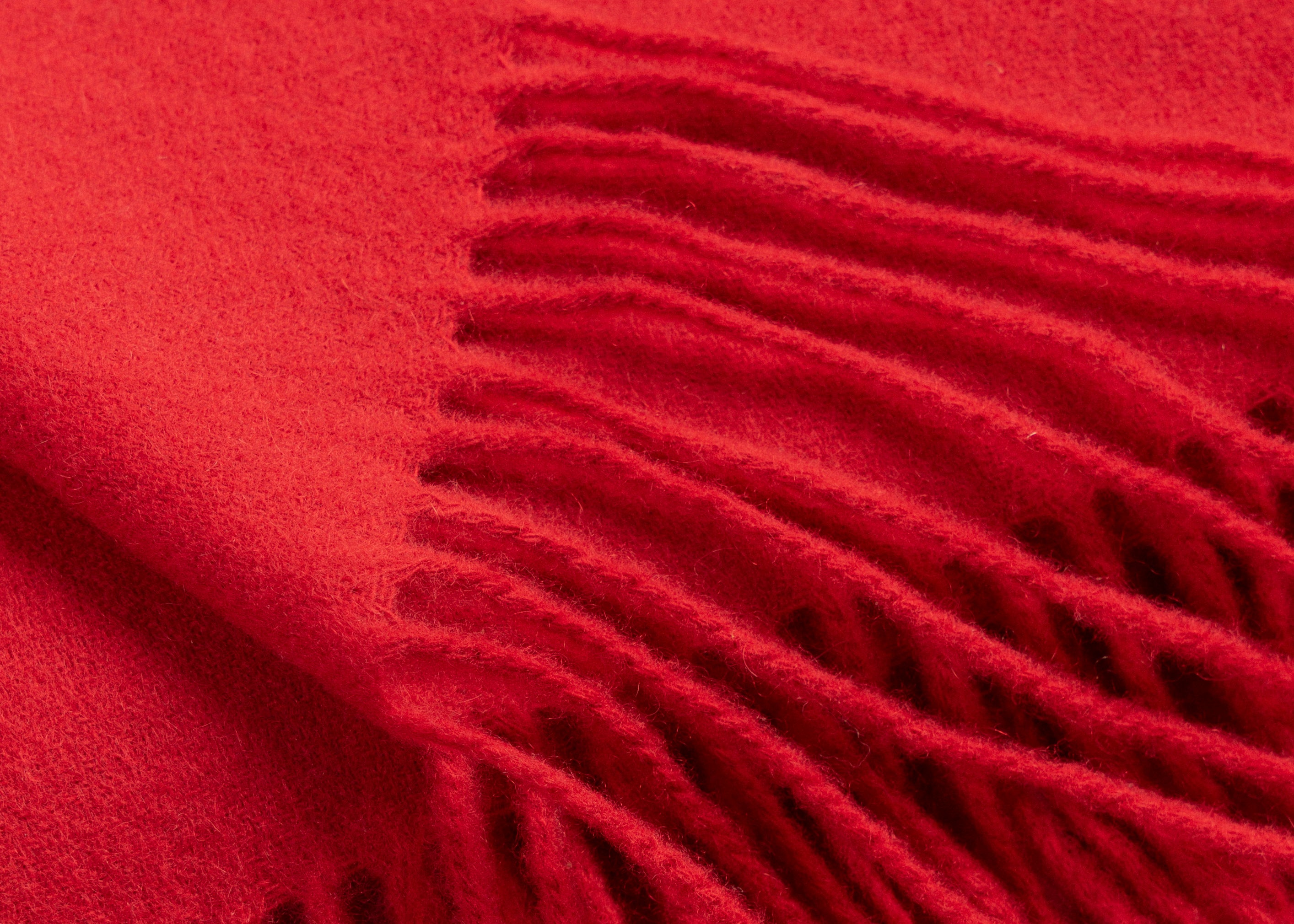 Fringed Throw