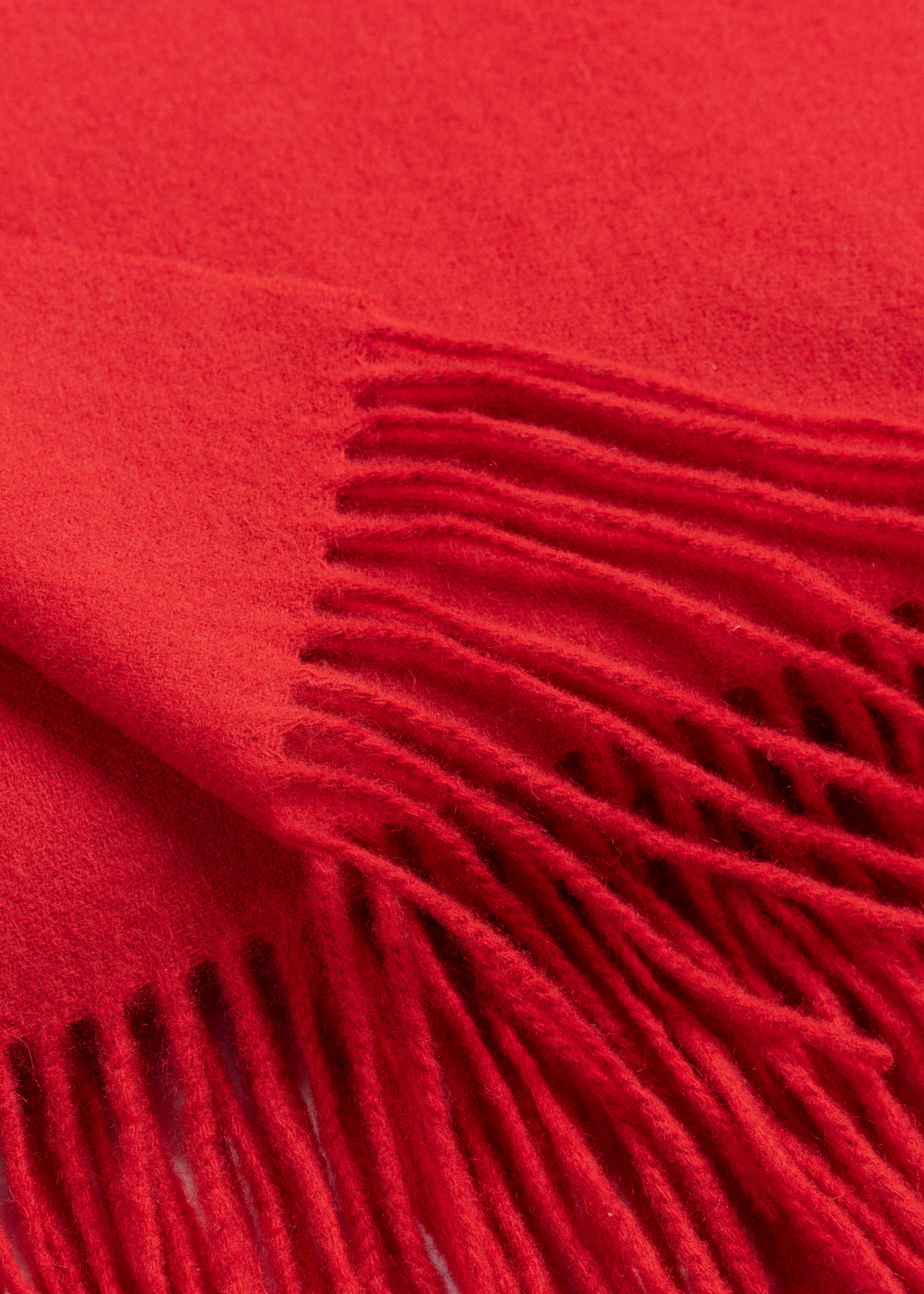 Fringed Throw