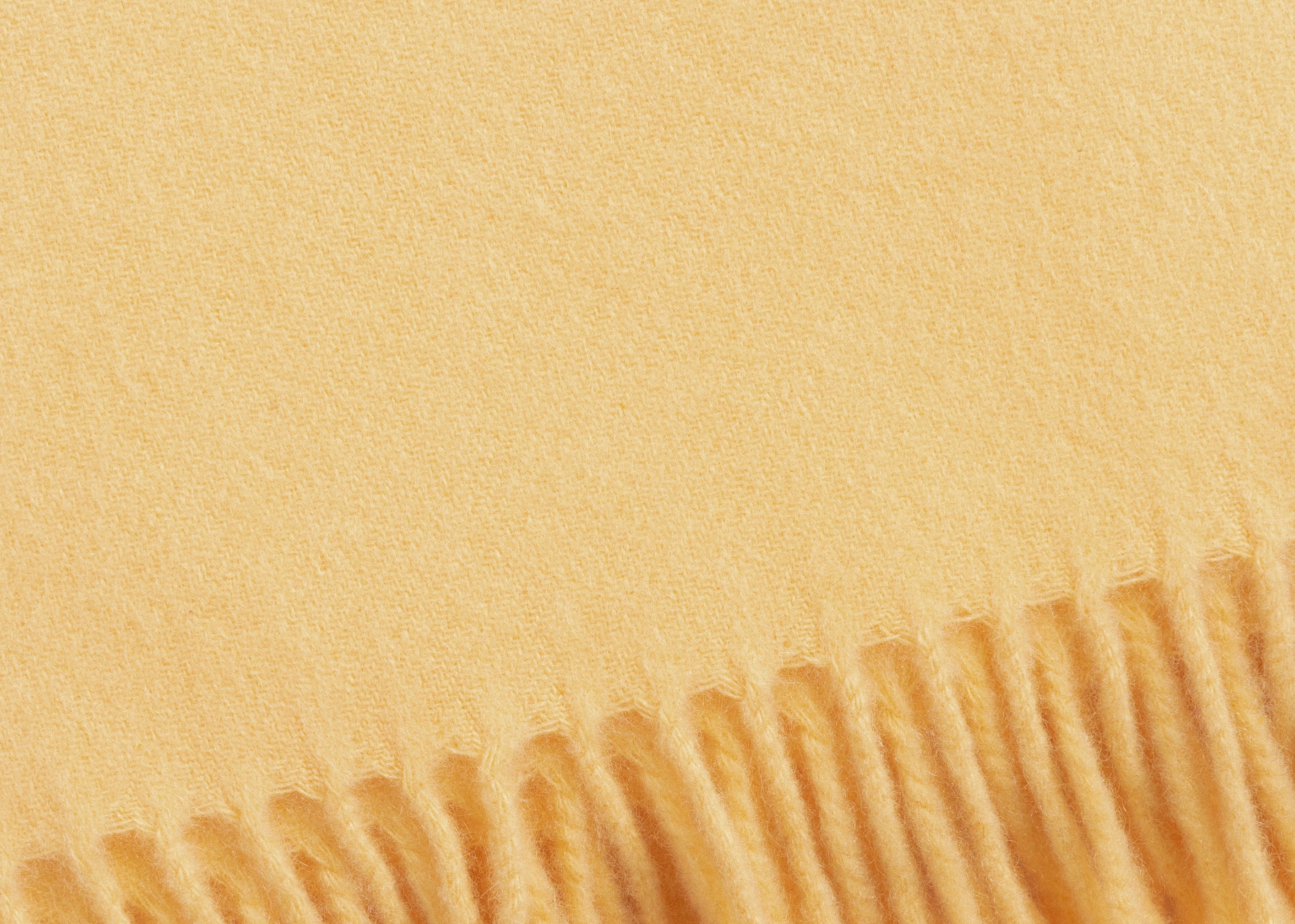 Fringed Throw